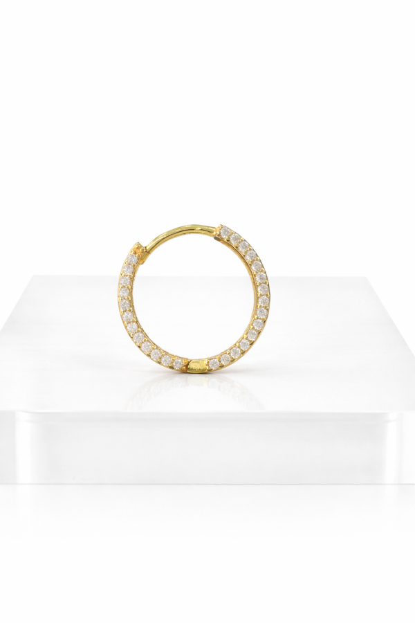 IMG_8625 Elegant Gold Hoop Earrings 12 mm